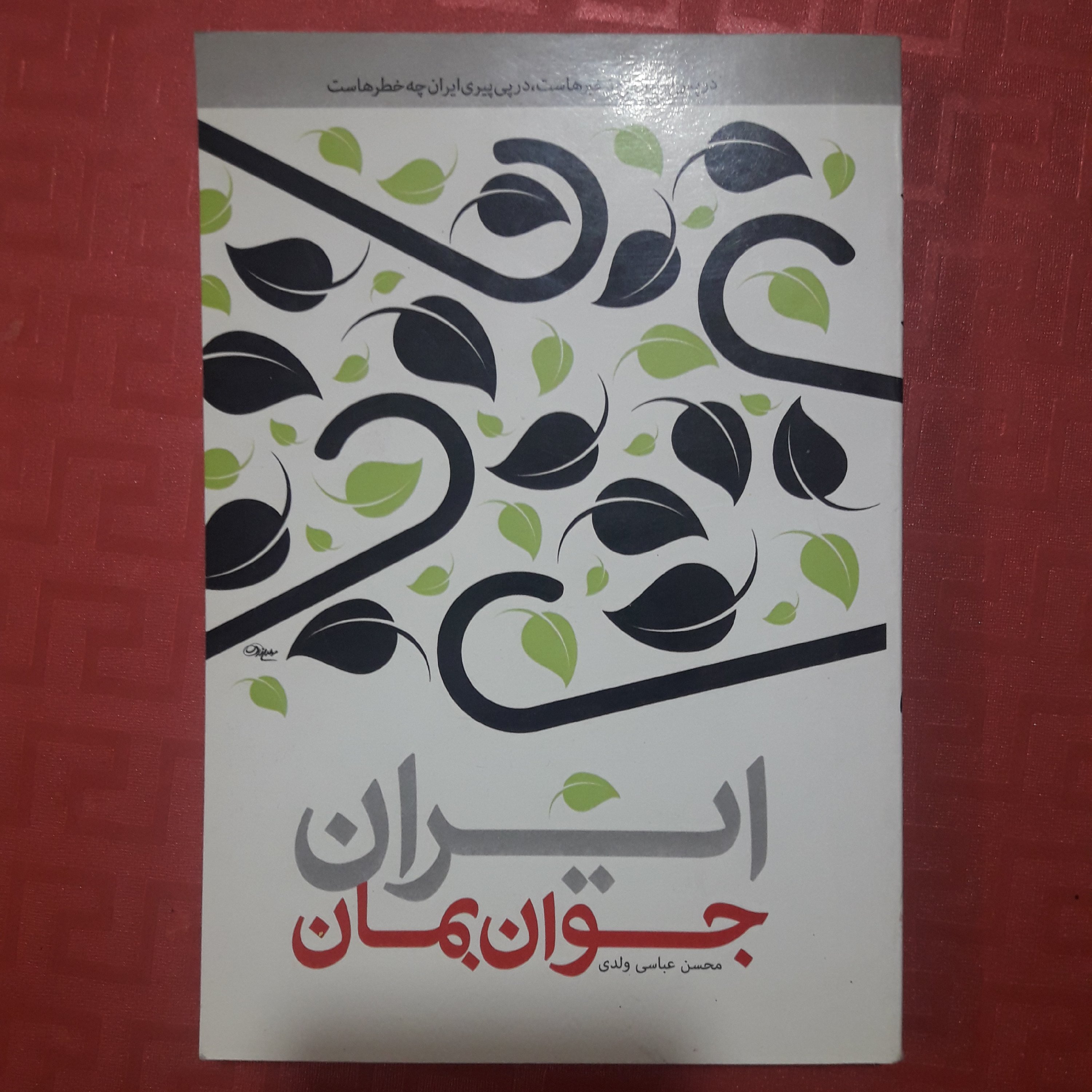 کتاب ایران جوان بمان/ محسن عباسی ولدی