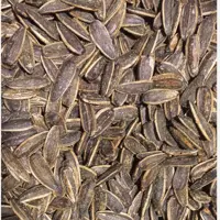 تخمه آفتابگردان سس رنج(500گرمی)