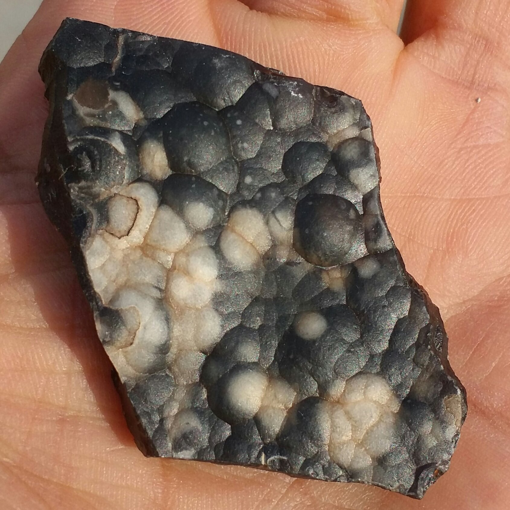 سنگ راف عقیق مشکی سفید تاولی کلکسیونی شاهکار خلقت 100 در 100 طبیعی
بی نظییییر
کد 8423