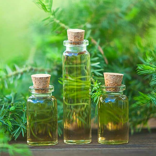 روغن درخت چای 60 سی سی (سه تا سفارش بده چهار تا تحویل میگیرید)
