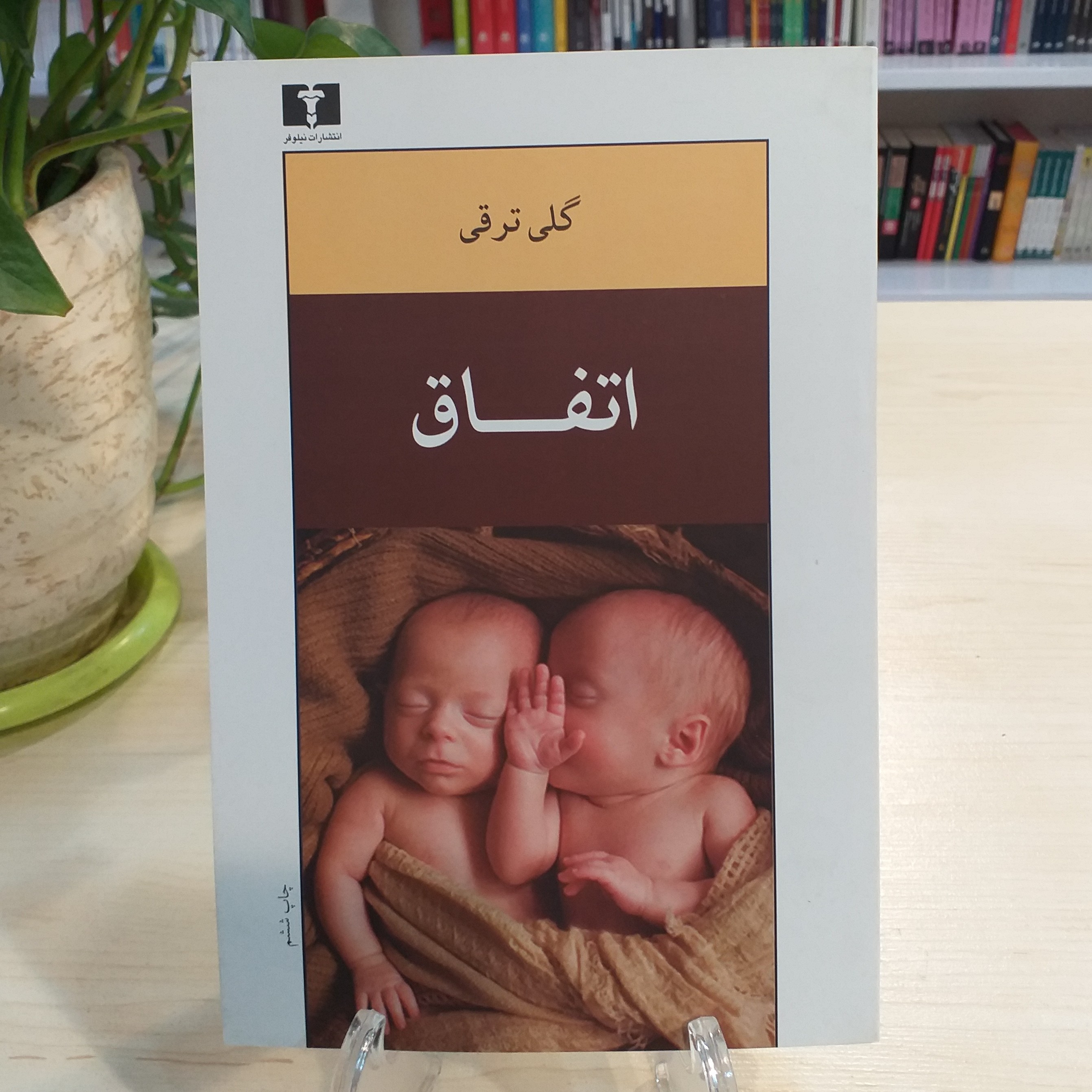 کتاب اتفاق اثر گلی ترقی از نشر نیلوفر با قیمت قدیم 