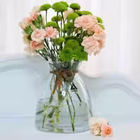 گلدان شیشه ای مناسب برای تنگ ماهی ARCO 