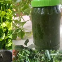 دلال سبزی ماست  1 کیلویی