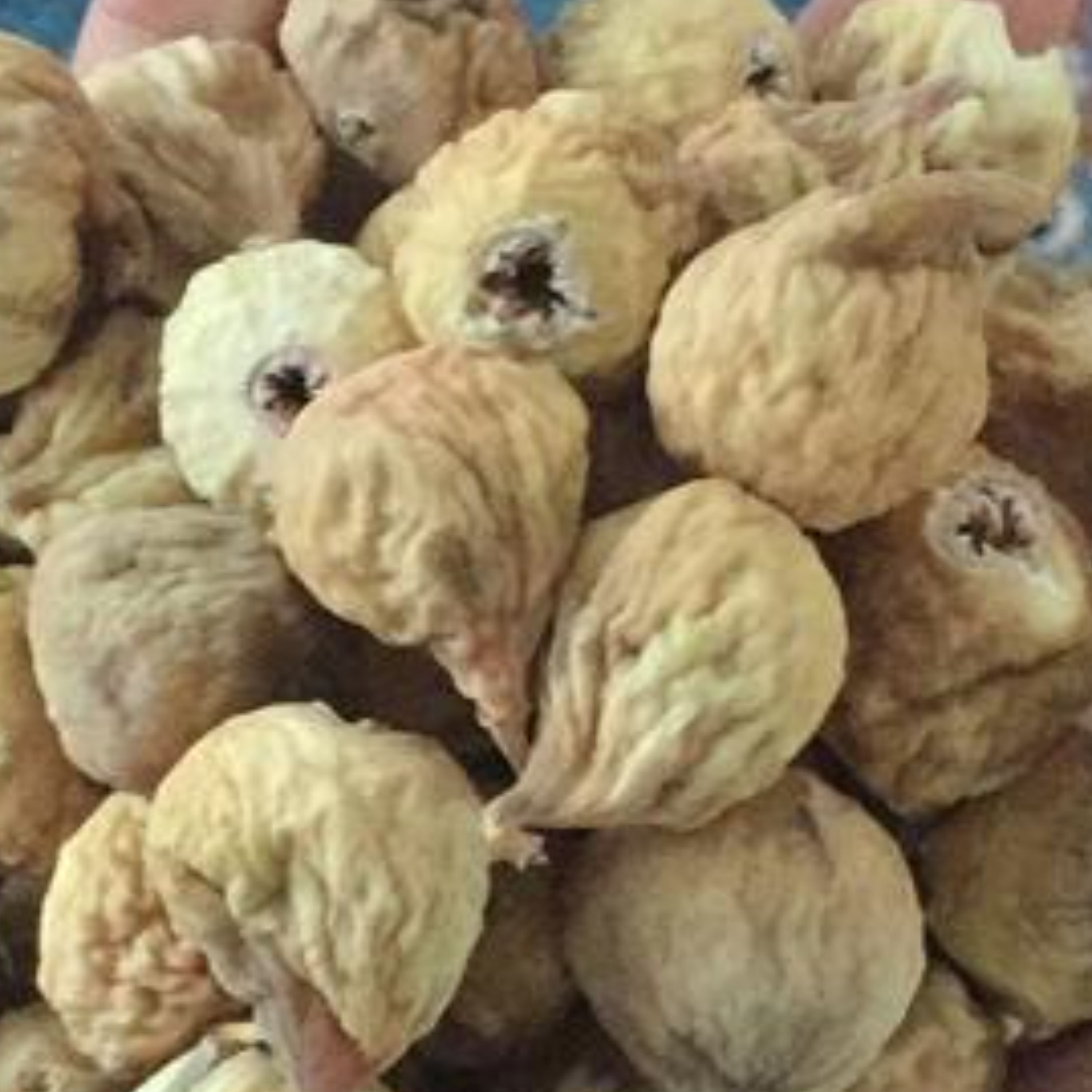 انجیر خشک  درجه عالی  سایز AAA (درشت ترین )  بسته 5 کیلویی امسالی