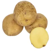 سیب زمینی ارگانیک رضوانی