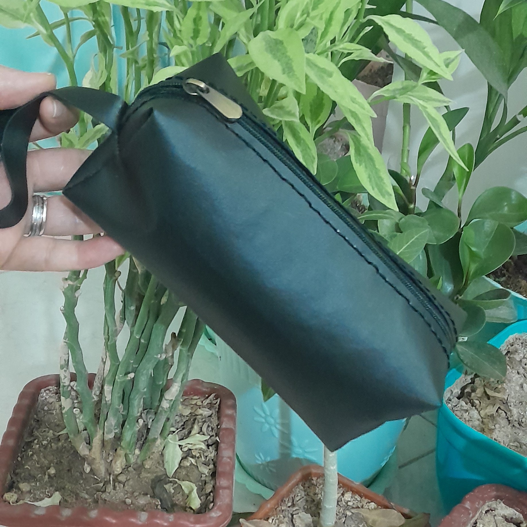 جامدادی ساده