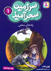 سرزمین سحرآمیز 1 (پله های مخفی)