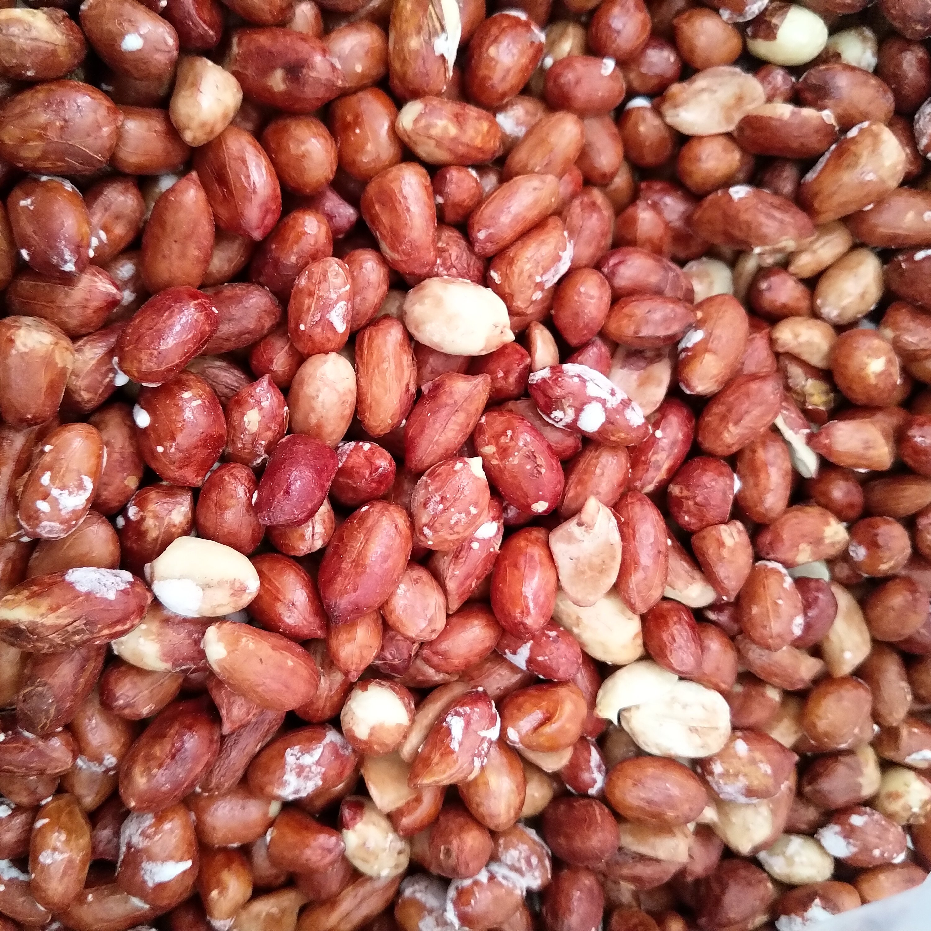 مغز بادام زمینی نمکی درشت و تازه یک کیلو(1000 گرمی)ارسال سریع 