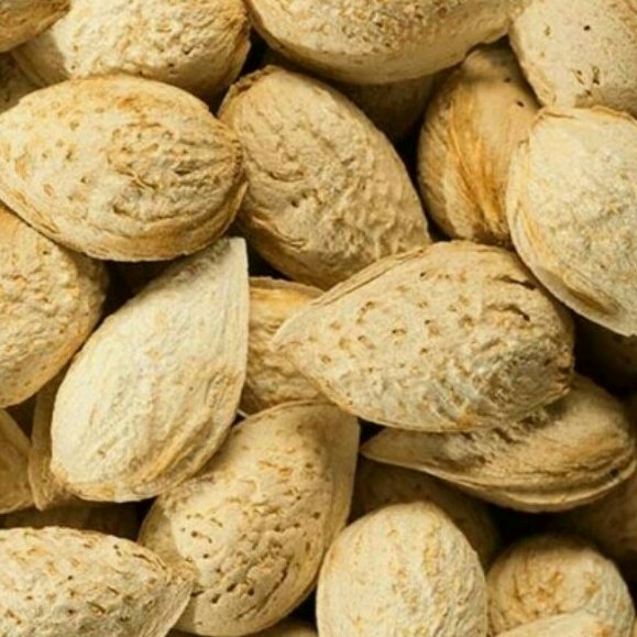 بادام کاغذی پرمغز و اعلا ارگانیک