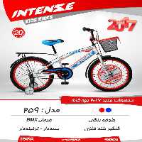 دوچرخه بچگانه اینتنس 20 259 2017