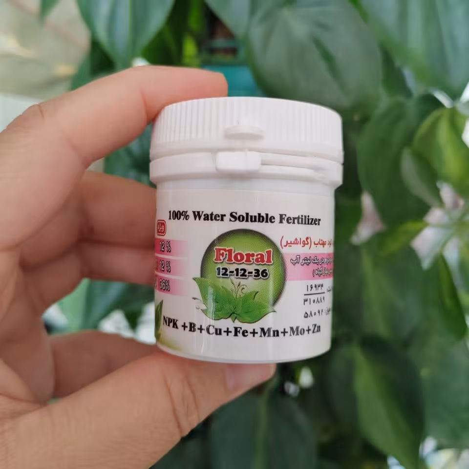 کود 121236 و micro قوطی بزرگ (کود گلدهی کیمیا کود گواشیر کرمان 