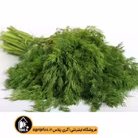 بذر شوید کویر