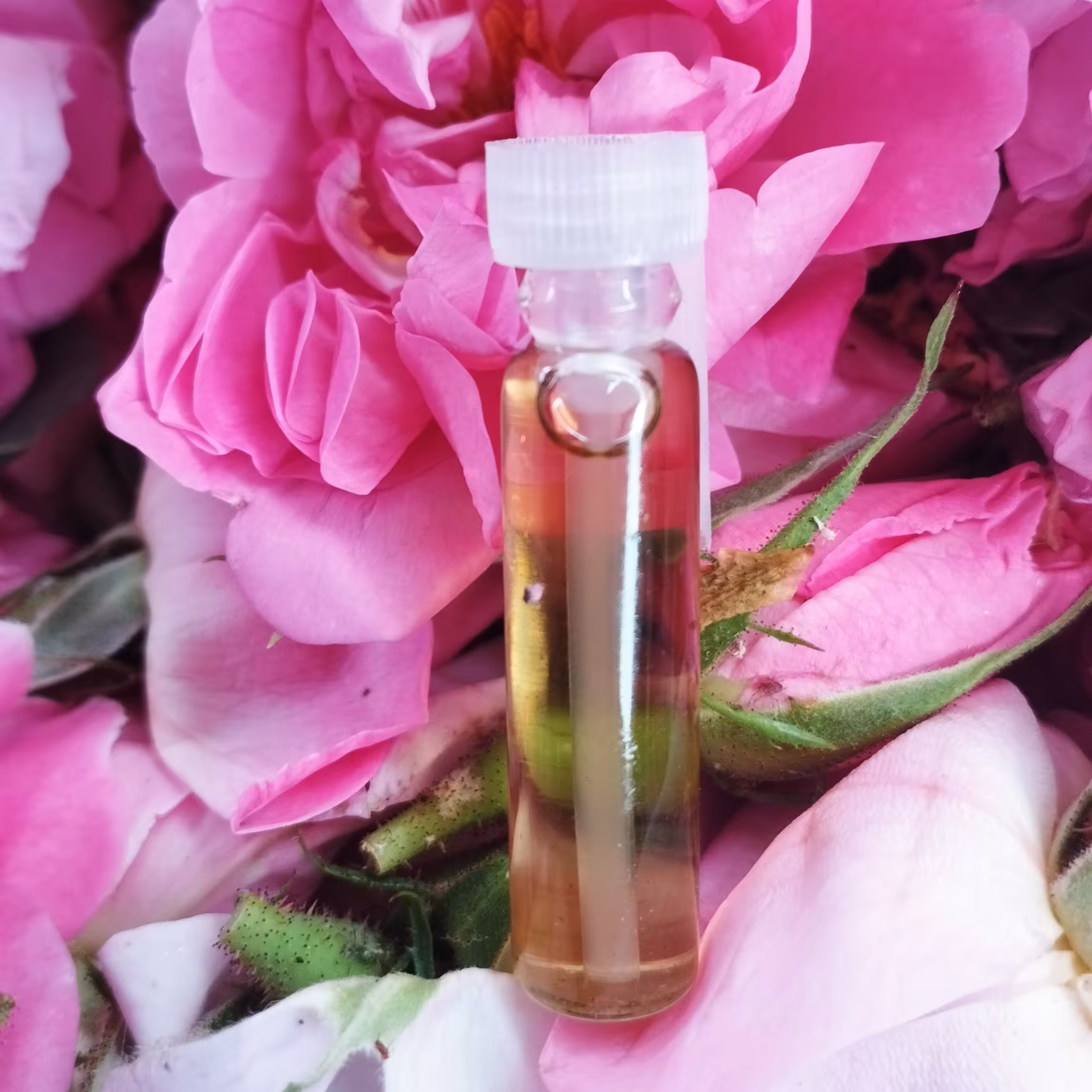 عطر یک گرمی گل محمدی خالص و معطر