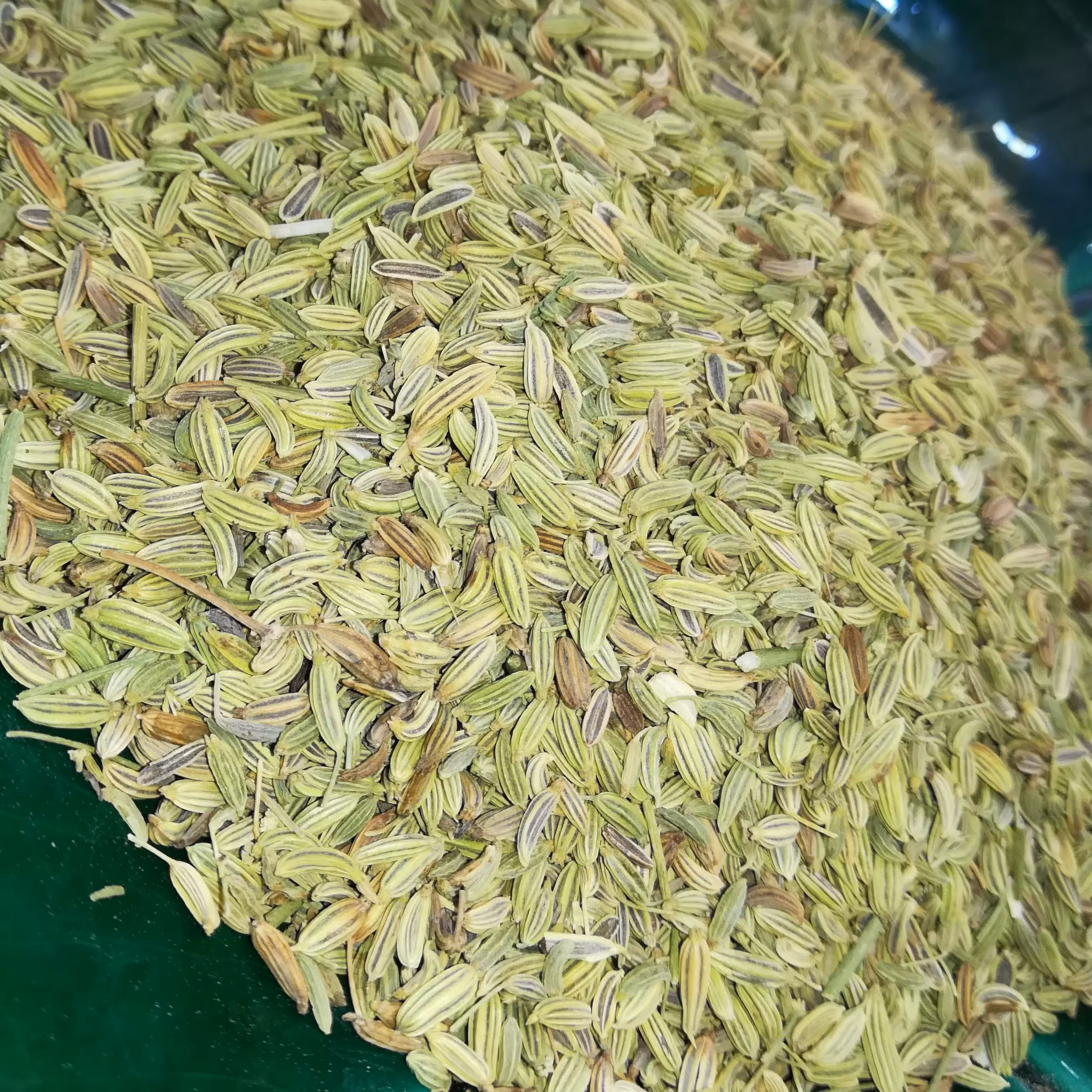 رازیانه 150 گرمی 