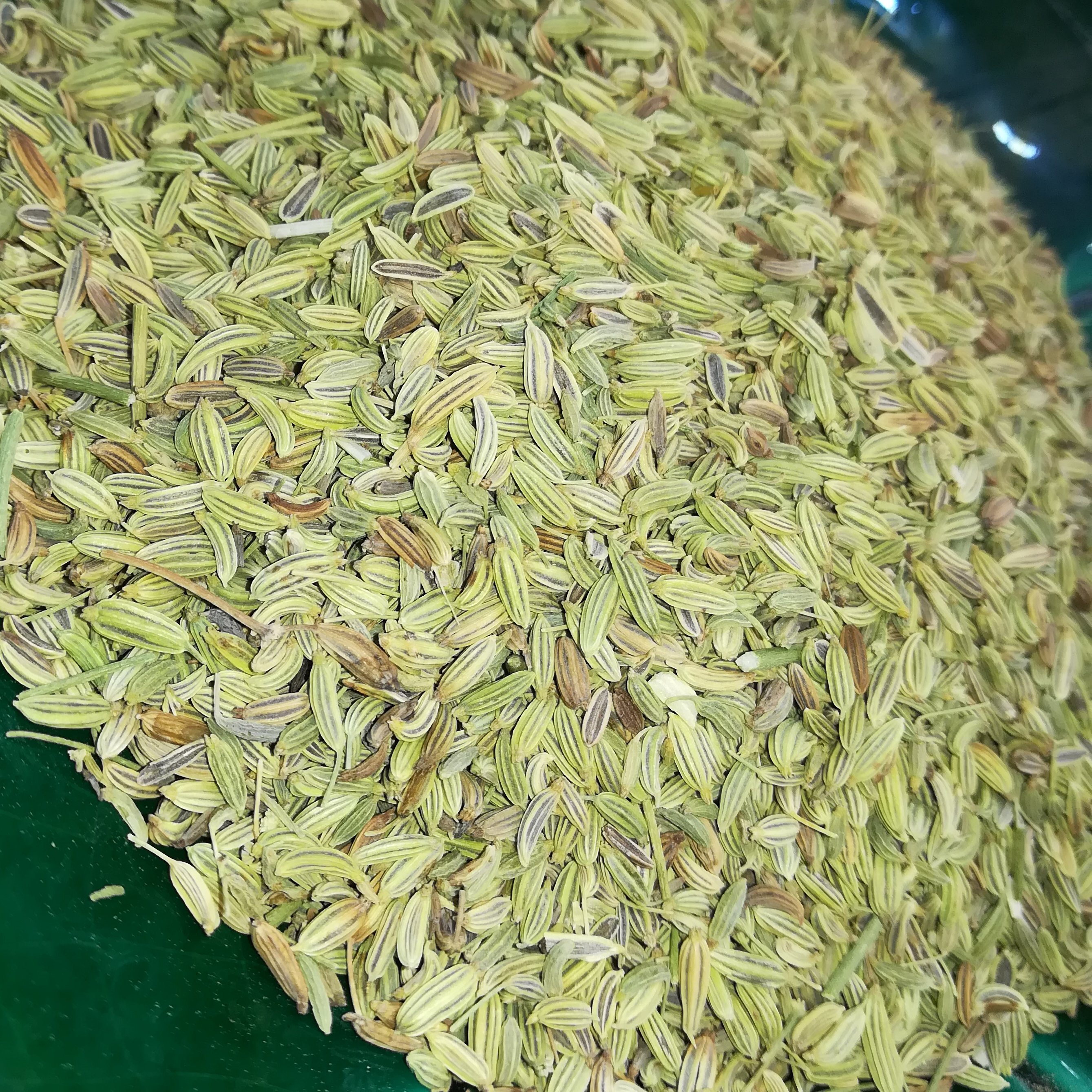 رازیانه 150 گرمی 