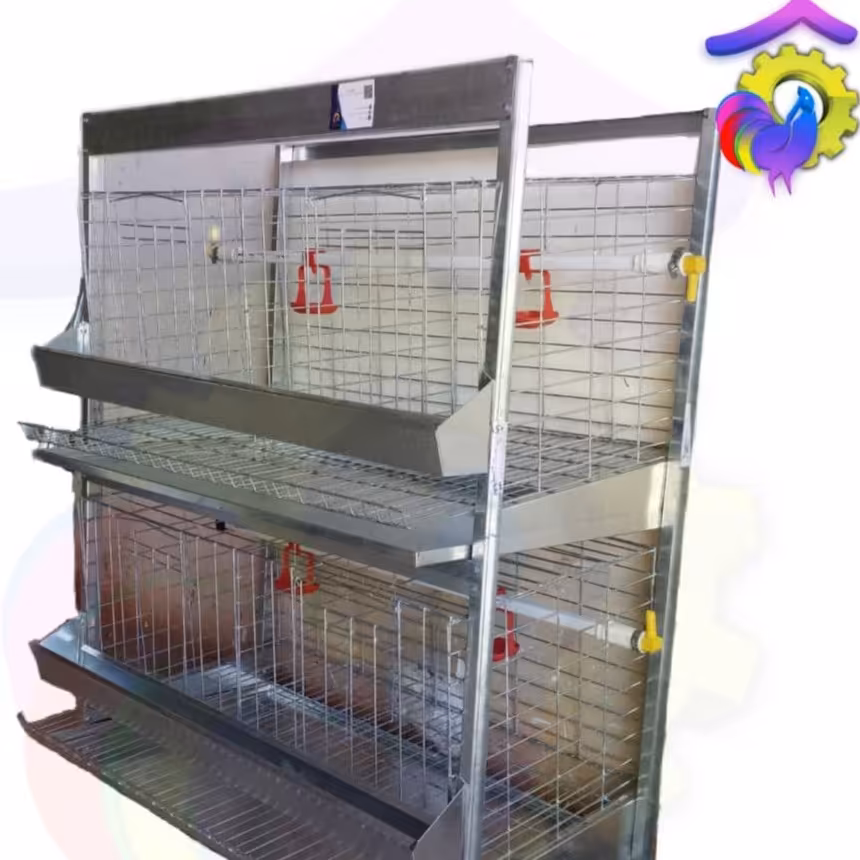 قفس دو طبقه مرغ تخم گذار با مخزن آب اتومات، پس کرایه