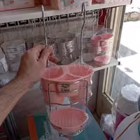 جاقاشقی جا اسکاچی دار ریما