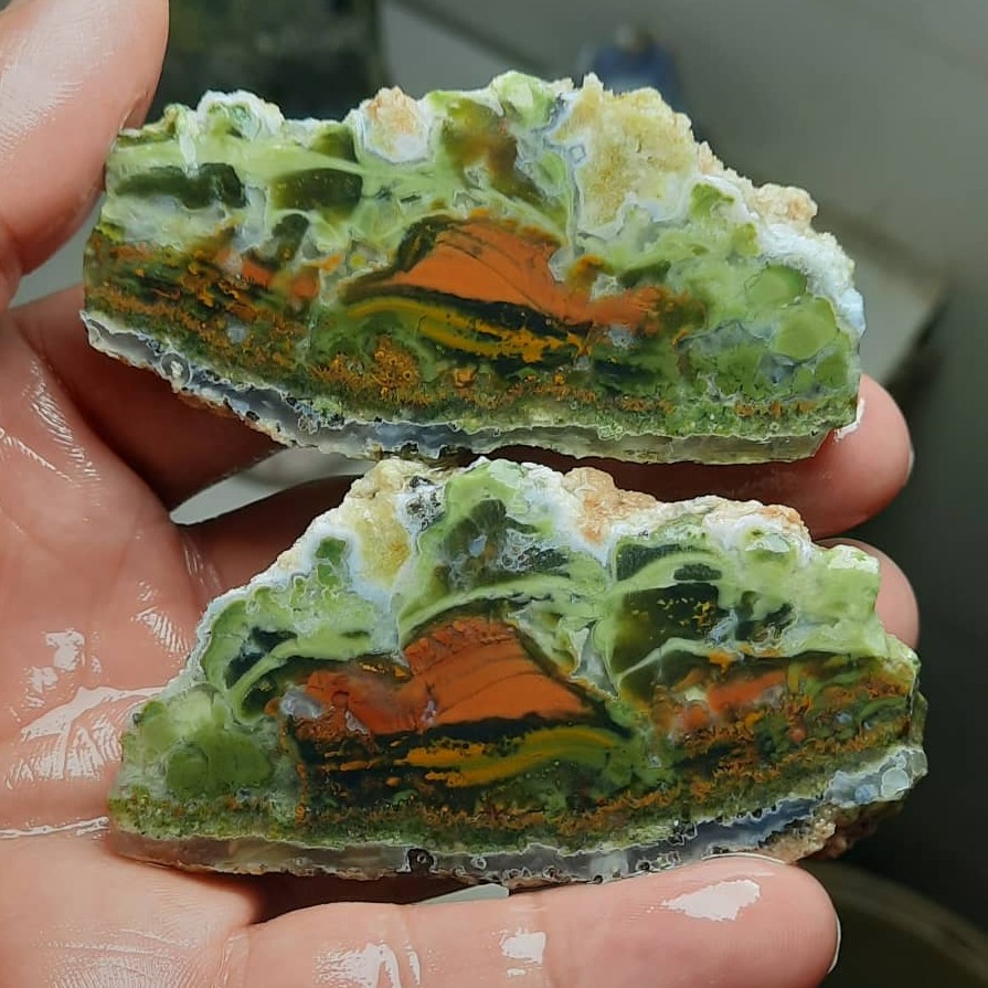 راف عقیق شجر منظره سبز  قائن