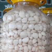 ترشی سیر  10 کیلویی