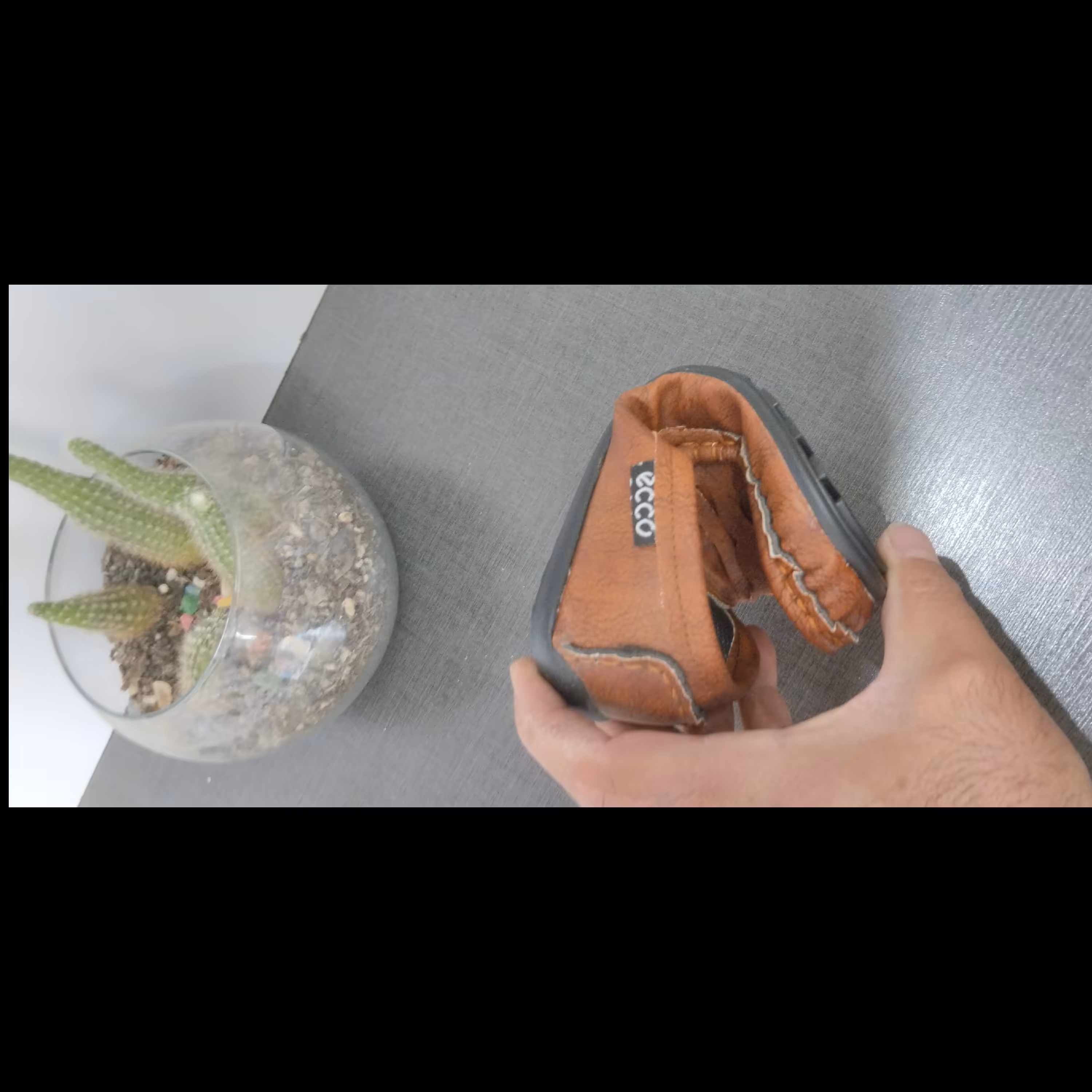 کالج پسرانه 25.31