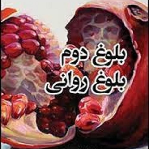 کتاب بلوغ دوم بلوغ روانی