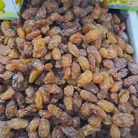 مویز  آفتابی (یک کیلویی)