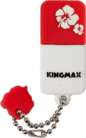فلش مموری 8 گیگابایت Kingmax مدل  UI-01