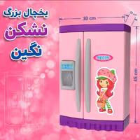 یخچال بزرگ نشکن نگین