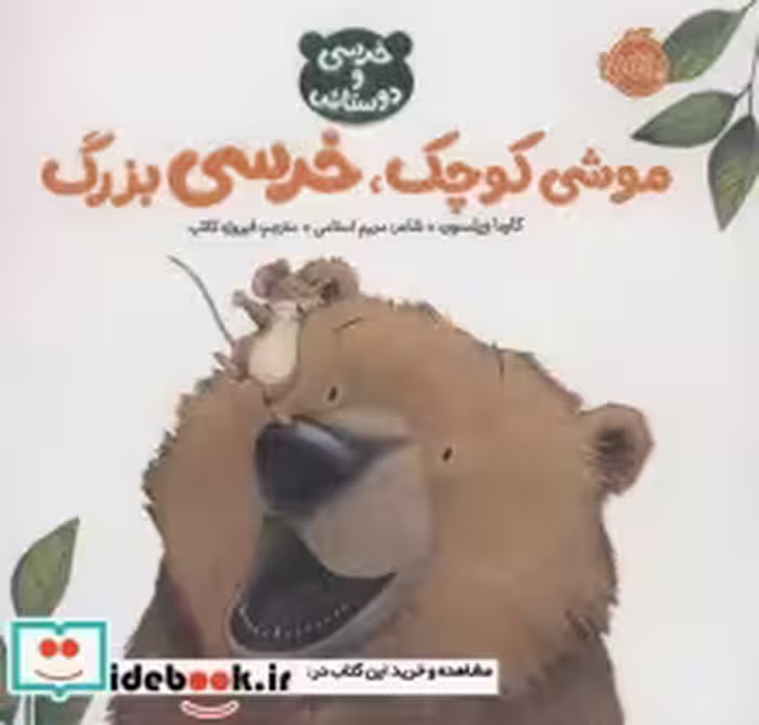 قیمت و خرید کتاب موشی کوچک خرسی بزرگ خرسی و دوستاش | ایده بوک