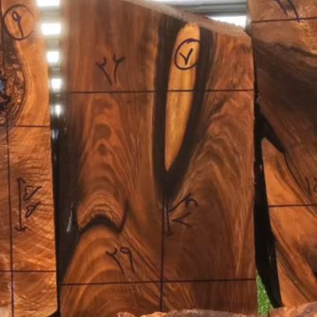 چوب ریشه بینظیر گردو