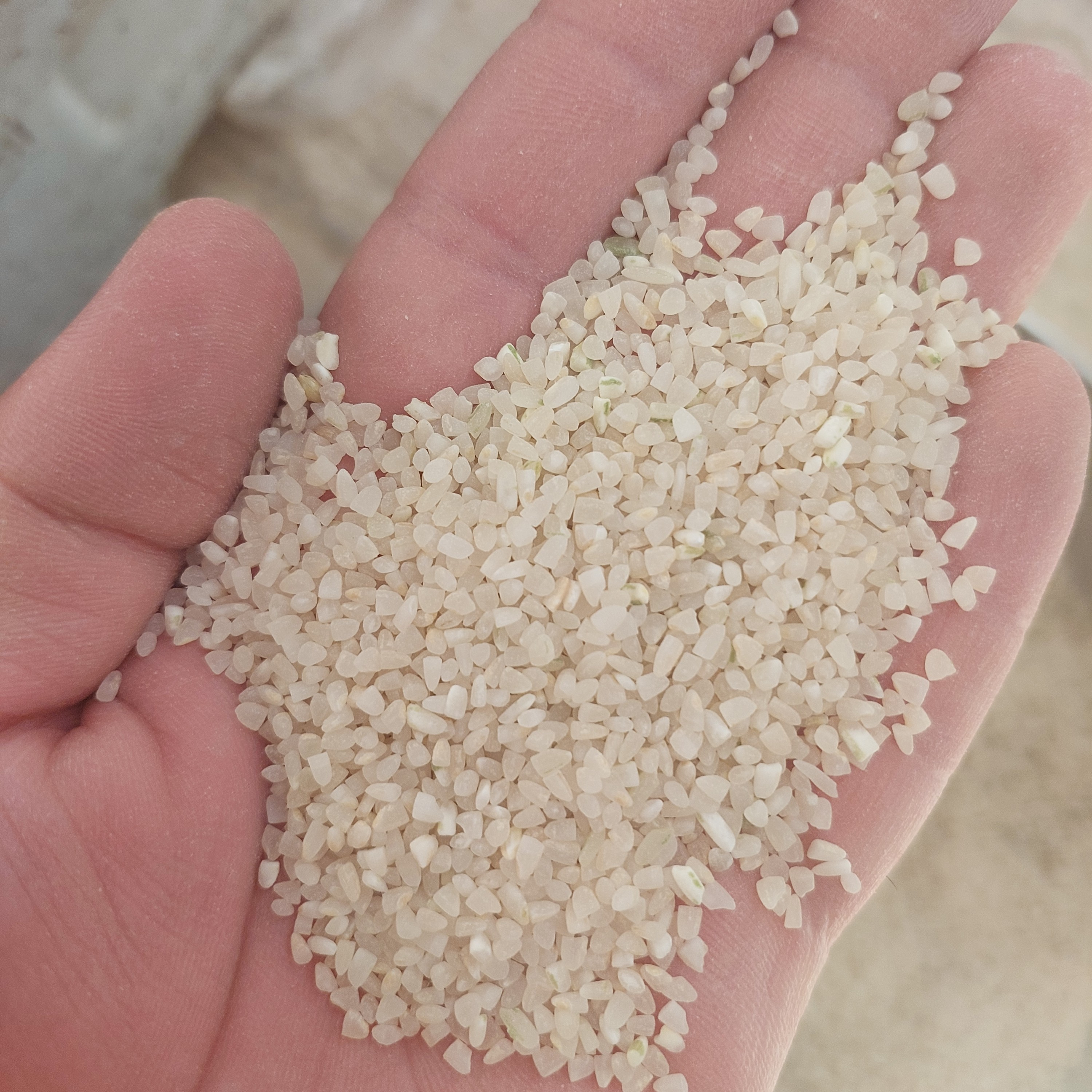 خرده برنج( نیم دانه ) کامفیروزی 30 کیلو گرمی کامفیروز شاپ 