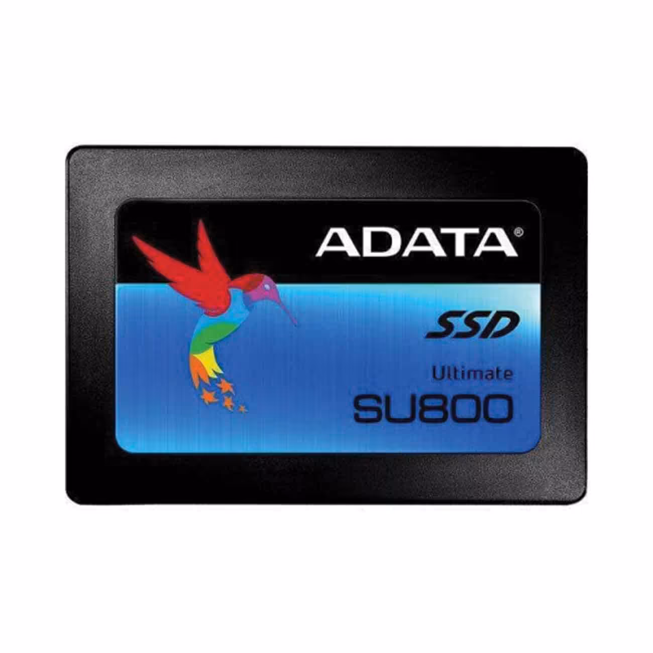 اس اس دی اینترنال ای دیتا SSD ADATA SU800 512GB