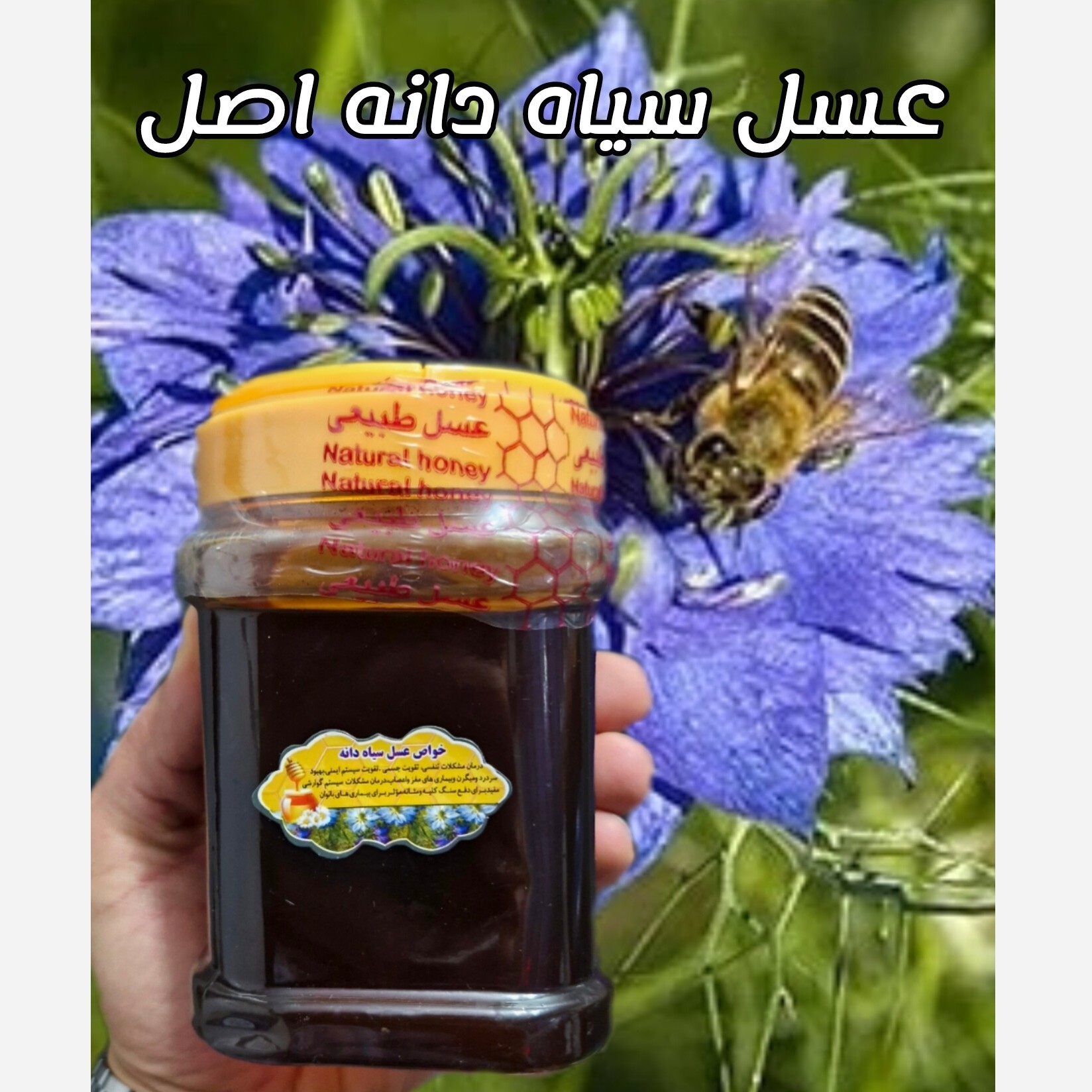 عسل طبیعی سیاهدانه اصل 1کیلویی-دشتی(خرید مستقیم از زنبوردار )ارسال رایگان
