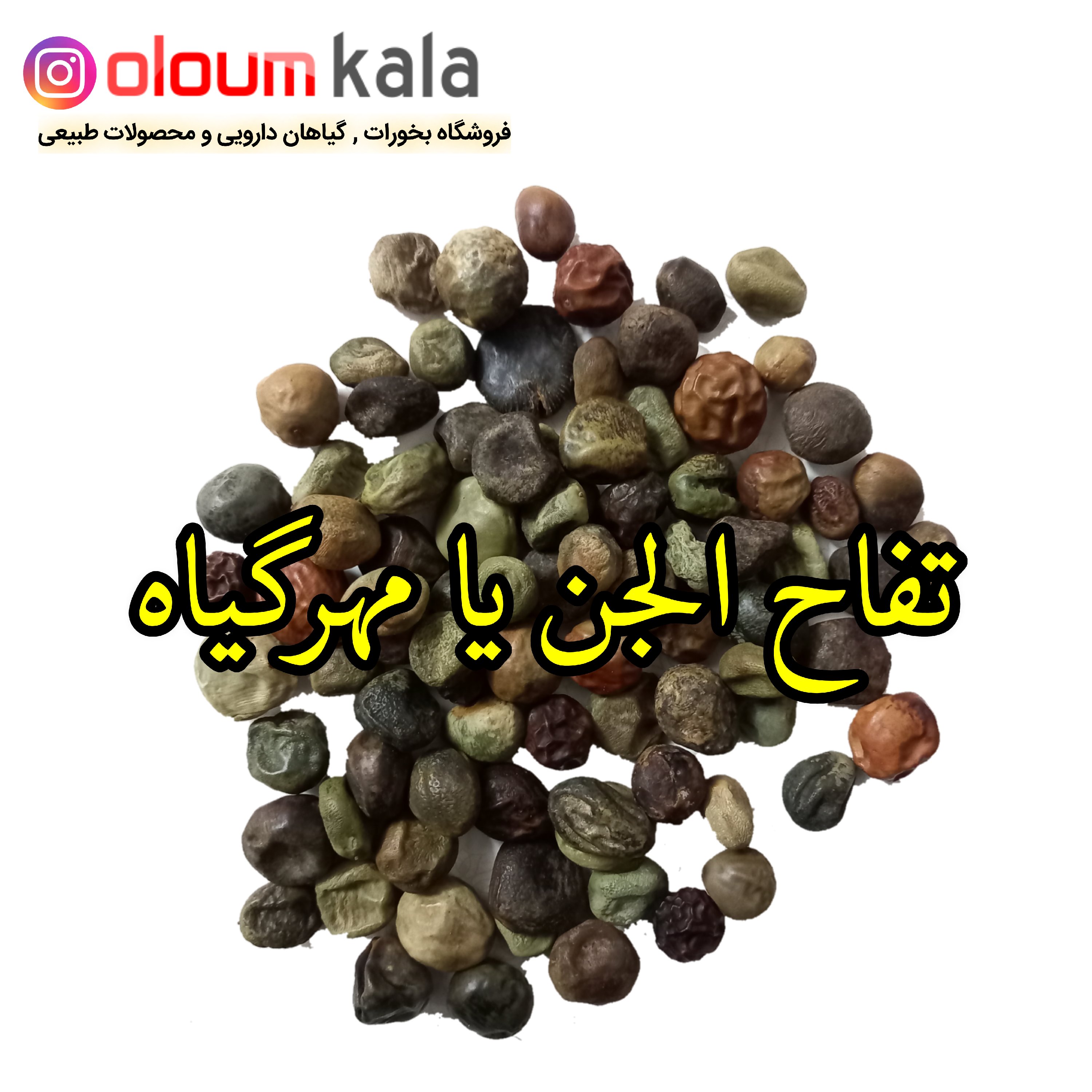 تفاح الجن یا مهرگیاه ( دو عدد )