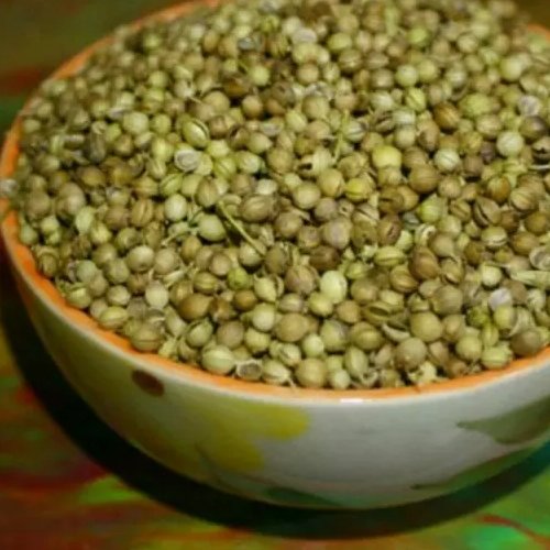 تخم گشنیز تازه و درجه یک(500گرم)