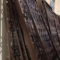 در آکاردئونی تسمه 2سانتی