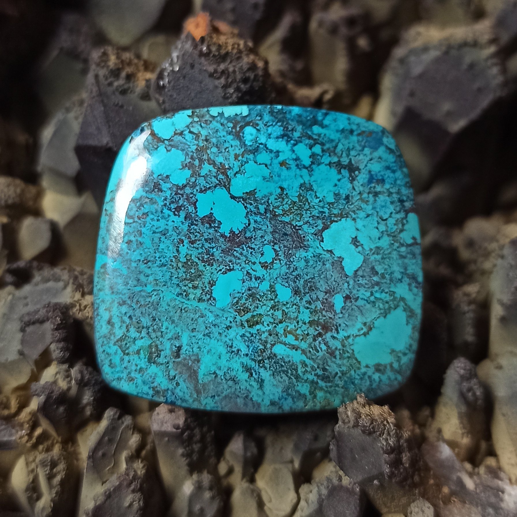 کریزوکلا  CH2