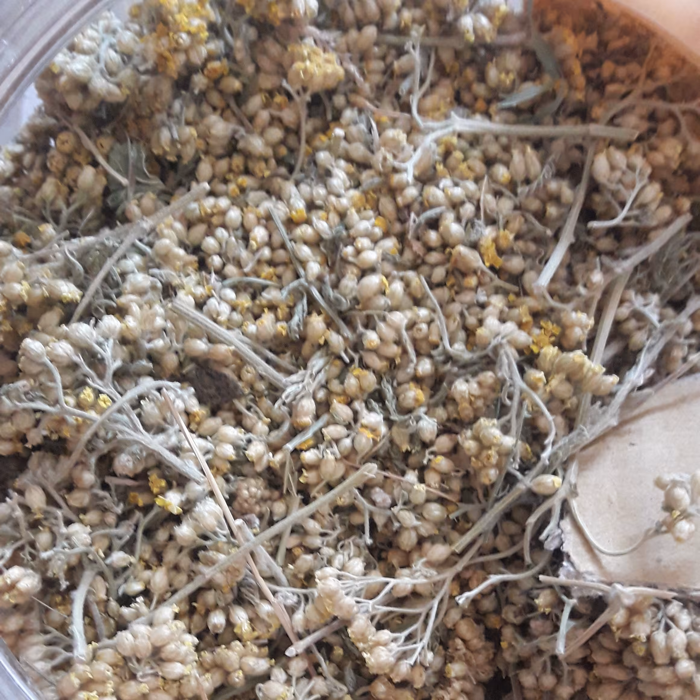 گل بومادران هزار برگ (بسته  200 گرمی)