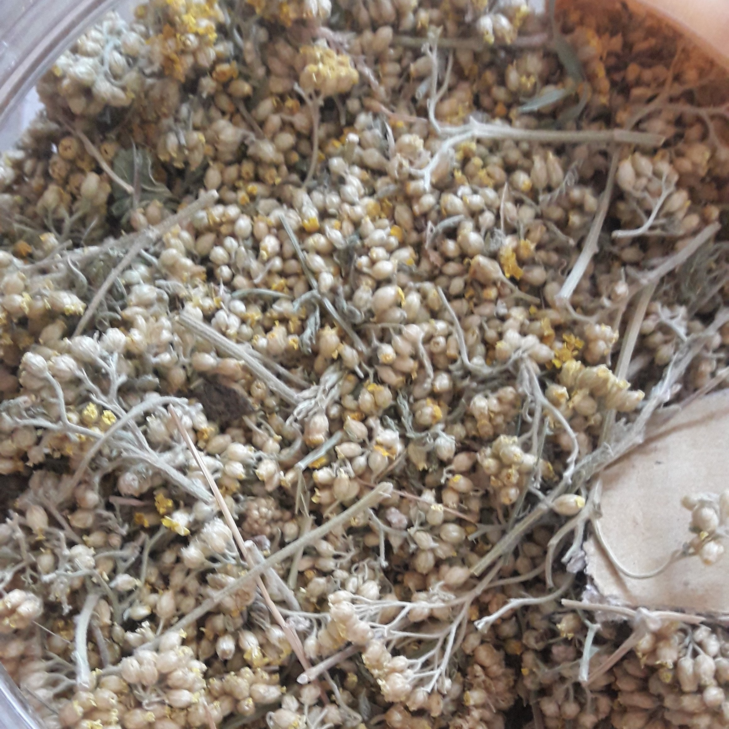 گل بومادران هزار برگ (بسته  200 گرمی)