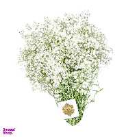 دسته گل ژیپسوفیلا سفید هیمان کد 1069