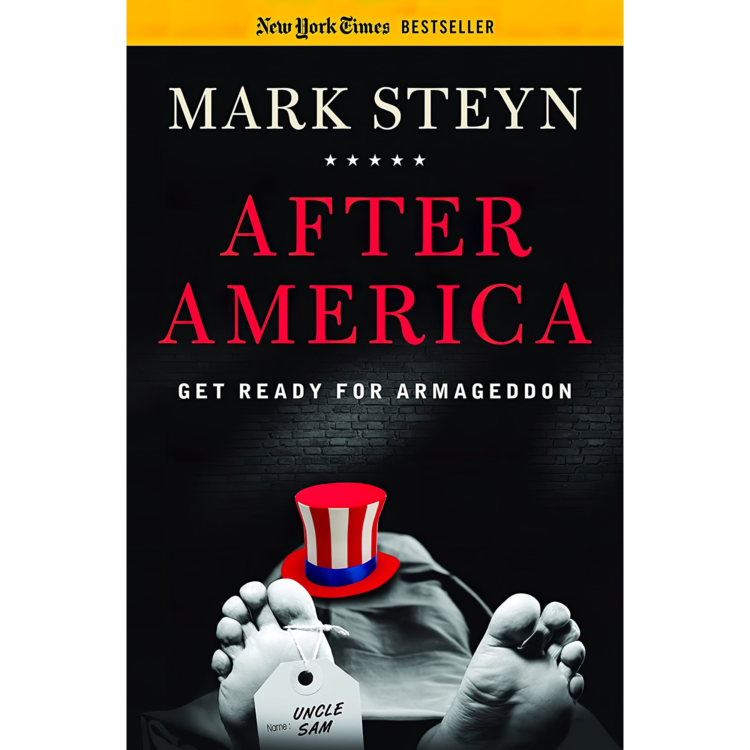 کتاب زبان اصلی After America اثر Mark Steyn انتشارات Regnery Publishing