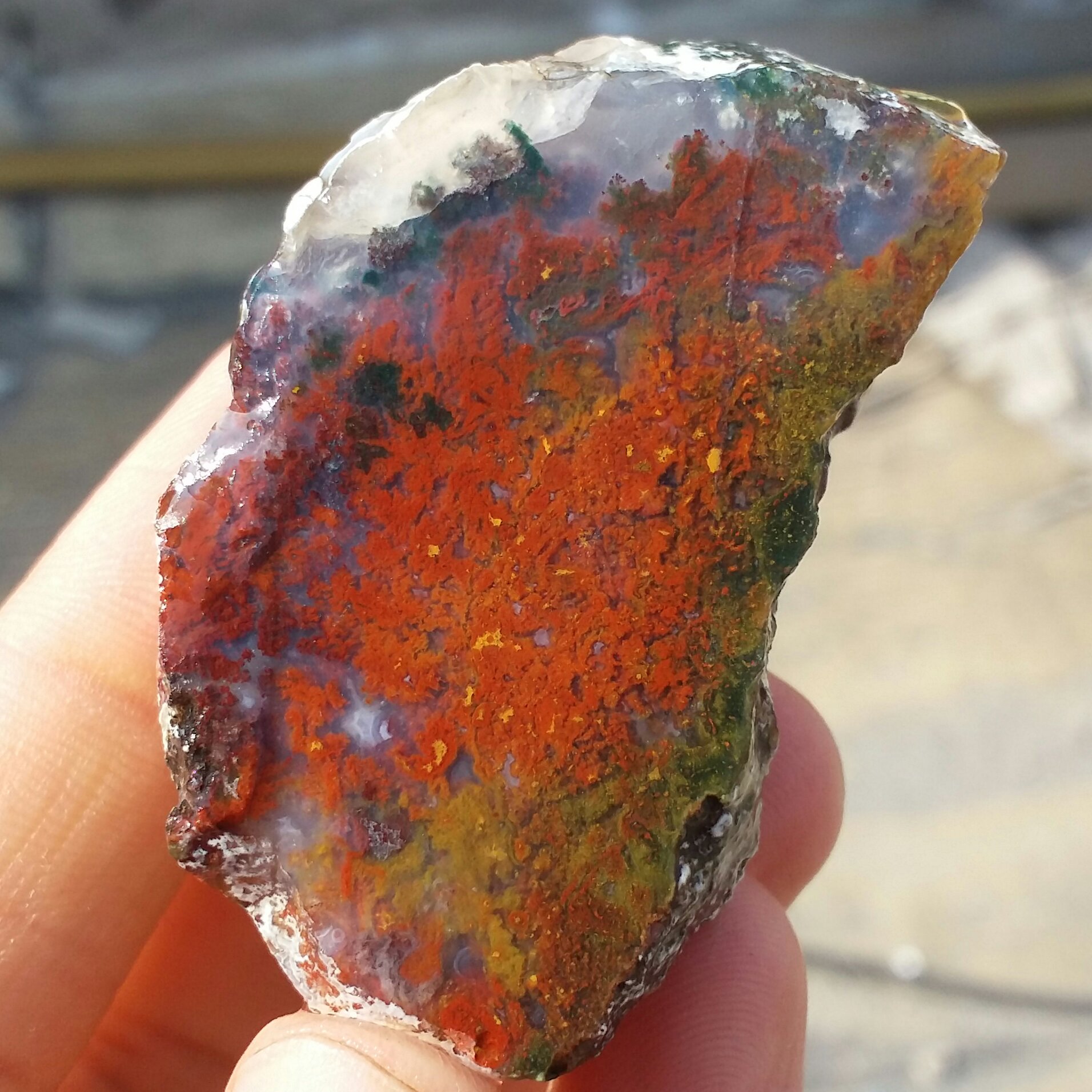 اسلایس سنگ راف عقیق شجر دریایی7رنگ بسیار دیدنی شاهکار خلقت کاملا طبیعی تابلو نقاشی طبیعی تکرار نشدنی کد 8665