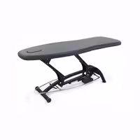 تخت ماساژ برقی ریلکس مدل Goodwill-EGF-1