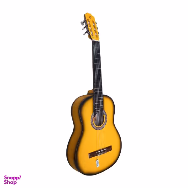 گیتار مدل B4 کد 10