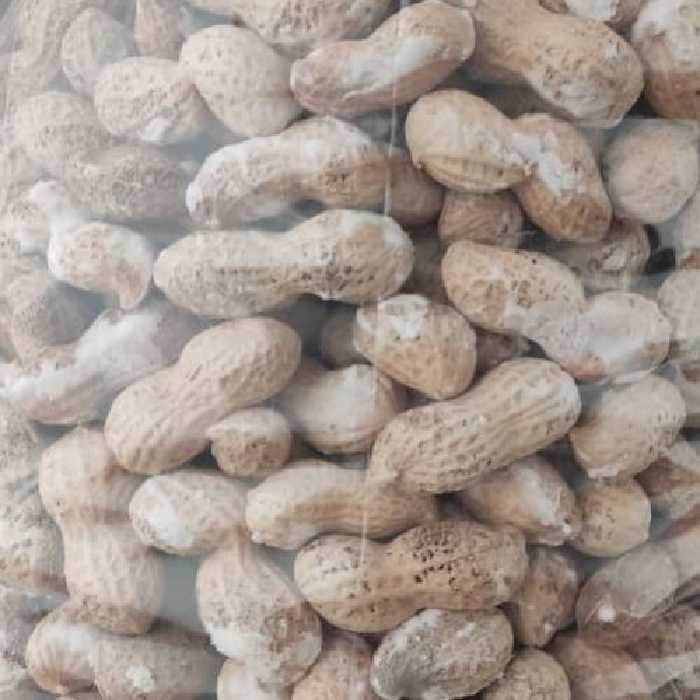 بادوم زمینی غلاف دار شور- ارسال به صورت پس کرایه