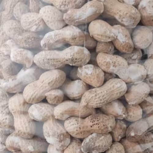 بادوم زمینی غلاف دار شور- ارسال به صورت پس کرایه