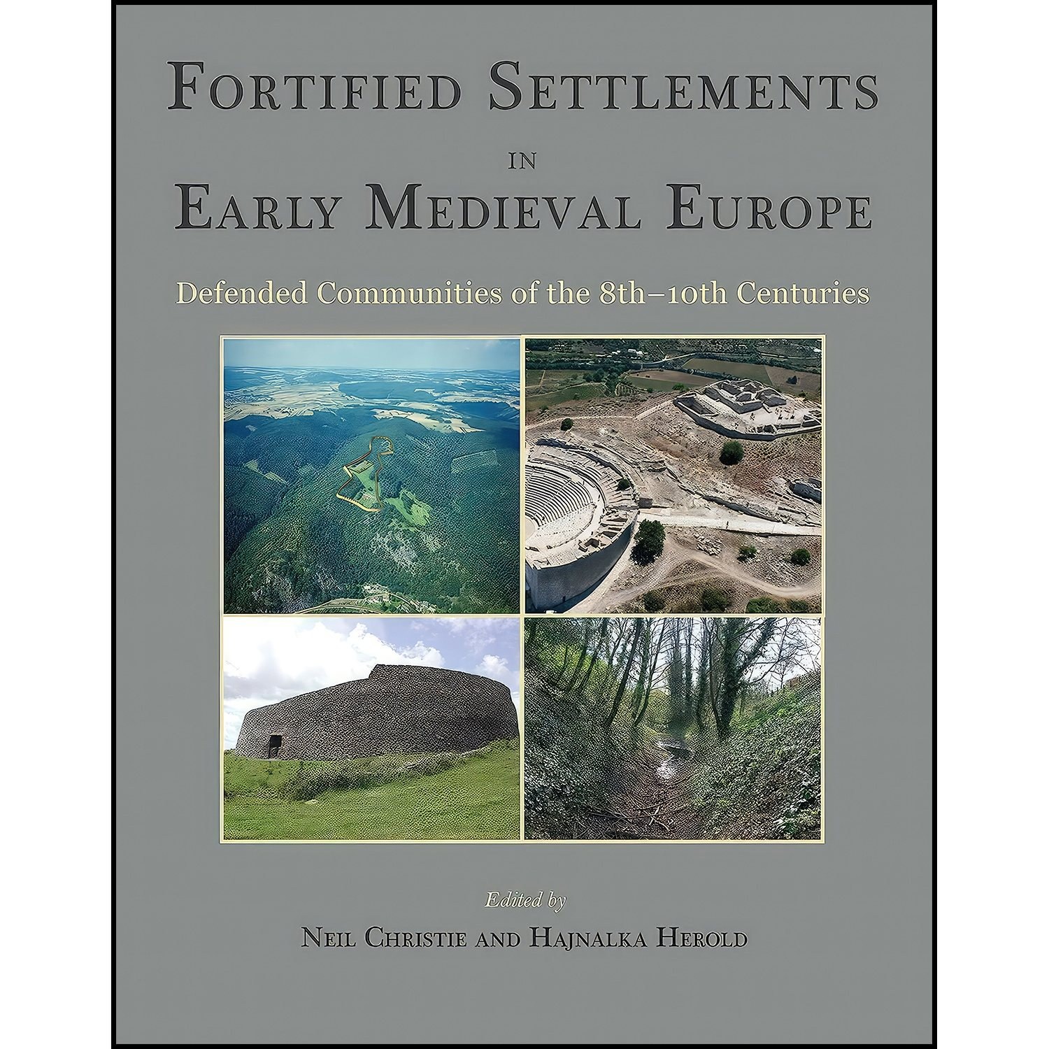 کتاب زبان اصلی Fortified Settlements in Early Medieval Europe
