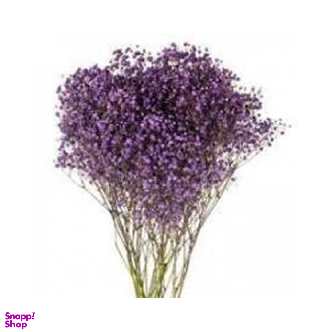 دسته گل طبیعی ژیپسوفیلا سایز بزرگ رنگ بنفش