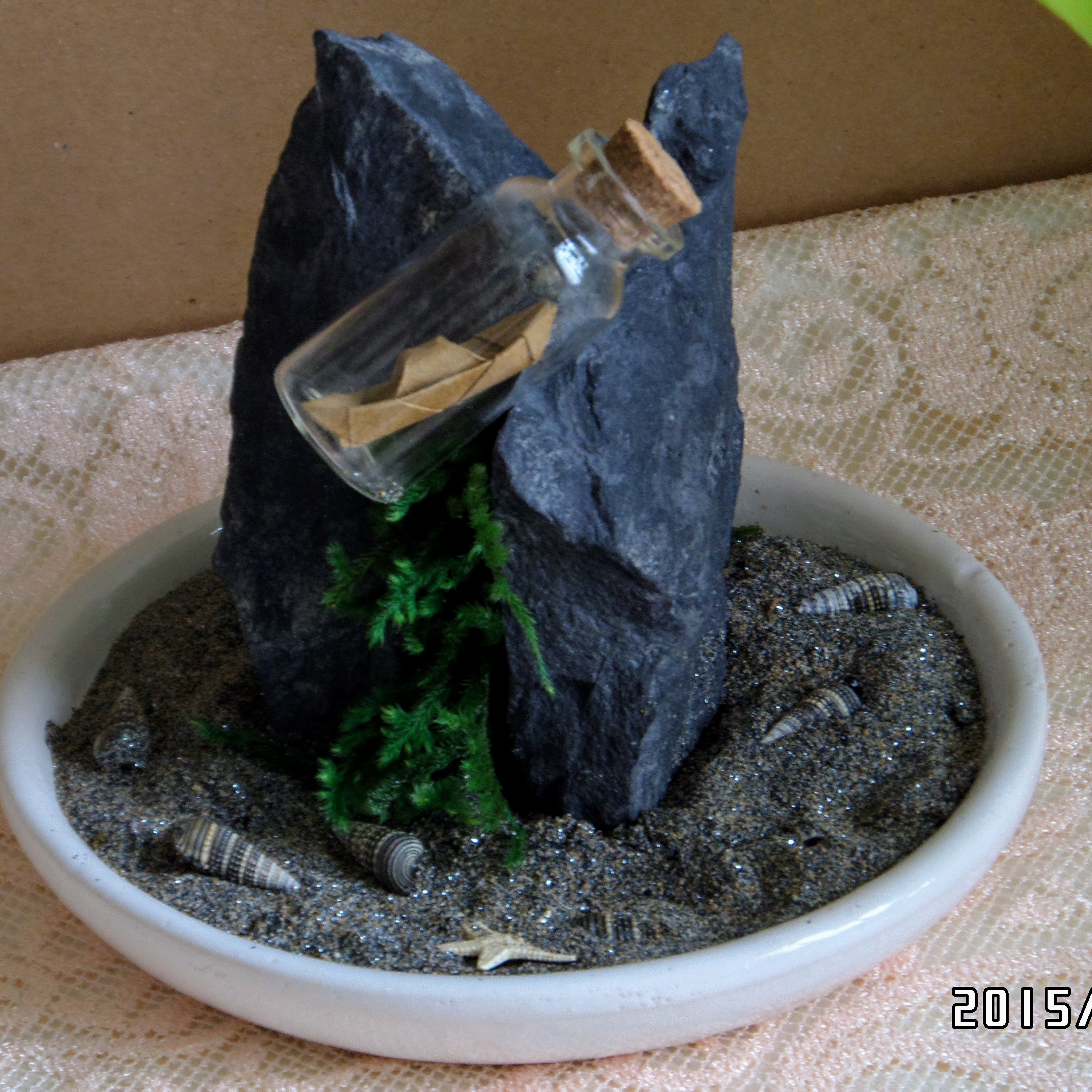 استند گل و گیاه و دکوری سنگ و شن مشکی سه حالته