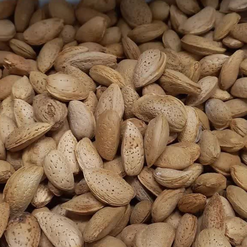 بادام سنگک سوغات بیرجند 1000گرم